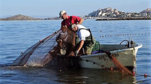 Pesca selectiva y tradicional usando velero - OFERMAP