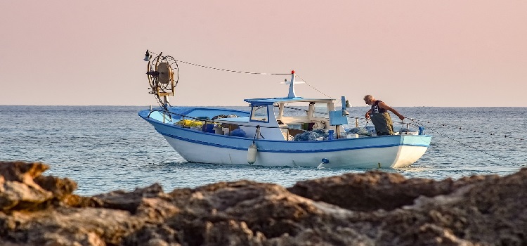 Quins tipus de pesca hi ha? – Anellides